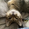 可愛い盛り！！！！！