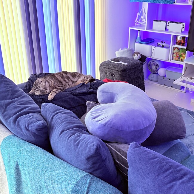 ぽンぽコのカバー写真