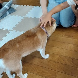 １年２ヶ月で……やっと(*´-')♥️ﾎｯ