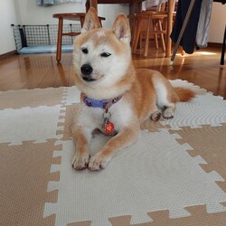 「１年２ヶ月で……やっと(*´-')♥️ﾎｯ」サムネイル2