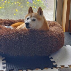 「１年２ヶ月で……やっと(*´-')♥️ﾎｯ」サムネイル3
