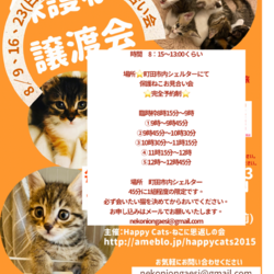HappyCats〜猫に恩返しの会〜保護ねこたちのシェルターお見合い会
