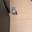 2ヶ月