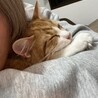 抱っこ大好き♡ふわふわ「わたげ」1歳・男の子 サムネイル3