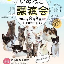 いぬねこ譲渡会
