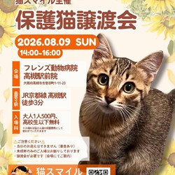 ねこの譲渡会＠高槻市