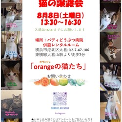 orangeの猫たちの譲渡会in大倉山 サムネイル1