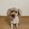 つむしゃん