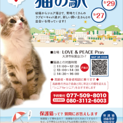 「猫の駅」保護猫譲渡会