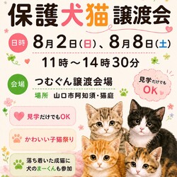 クローバーの会保護犬猫譲渡会 サムネイル1
