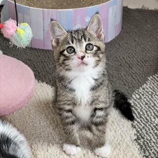ぽちょぽちょボディーの癒し系ララ♡