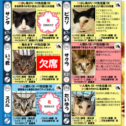 「ご報告◆8月1日（土）「保護猫の譲渡会」」サムネイル1