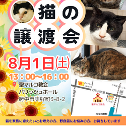 「ご報告◆8月1日（土）「保護猫の譲渡会」」サムネイル3