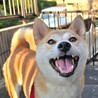 フレンドリーな女の子 サムネイル6
