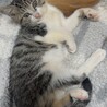 甘えんぼすぎて誰でも一瞬でズキュン確定☆はるひ サムネイル2
