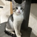 甘えんぼすぎて誰でも一瞬でズキュン確定♡すず