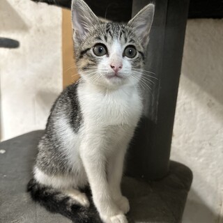 甘えんぼすぎて誰でも一瞬でズキュン確定♡すず