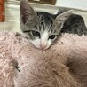 甘えんぼすぎて誰でも一瞬でズキュン確定♡すず サムネイル2
