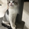 甘えんぼすぎて誰でも一瞬でズキュン確定♡すず サムネイル3