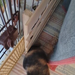 暑さ一段落