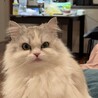 winkyちゃん さん