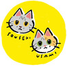 のりこ