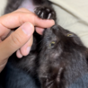 の写真