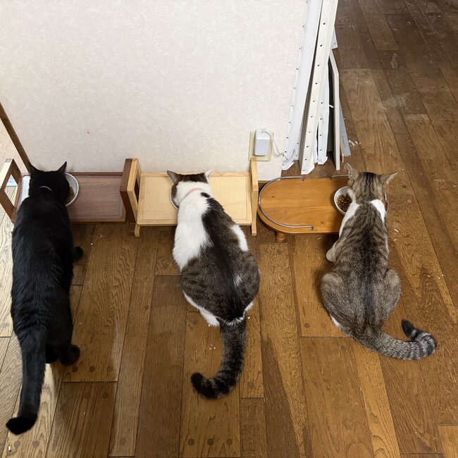 るっころりのカバー写真