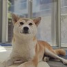 フレンドリーな女の子 サムネイル4