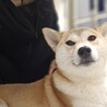 フレンドリーな女の子 サムネイル7