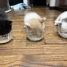 甘えん坊オス４ヶ月子猫兄弟 サムネイル2