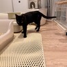 元気いっぱいネネちゃん サムネイル3
