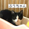 超々キュートな白黒兄弟 サムネイル2