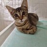 千花♡おっとり優しい癒し系ガール サムネイル3