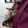 千花♡おっとり優しい癒し系ガール サムネイル4