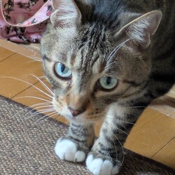 「ほんまに暑い」サムネイル3