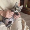 もふもふの男の子 サムネイル2