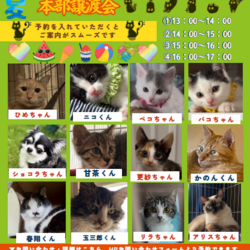 ノエルハウス　本部シェルター譲渡会