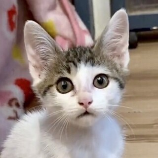 とても人懐こくて甘えん坊美少年ジン君