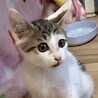 とても人懐こくて甘えん坊美少年ジン君 サムネイル2