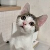 とても人懐こくて甘えん坊美少年ジン君 サムネイル4