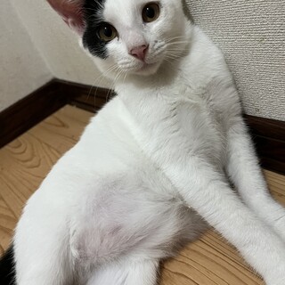 タレ眉が可愛い♡愛嬌満点男の子♡