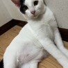 タレ眉が可愛い♡愛嬌満点男の子♡ サムネイル1