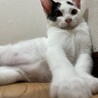 タレ眉が可愛い♡愛嬌満点男の子♡ サムネイル2
