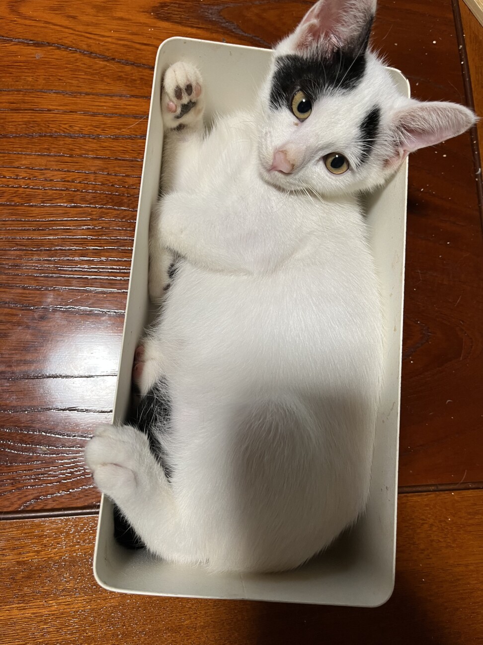 タレ眉が可愛い♡愛嬌満点男の子♡ サムネイル3