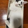 タレ眉が可愛い♡愛嬌満点男の子♡ サムネイル3