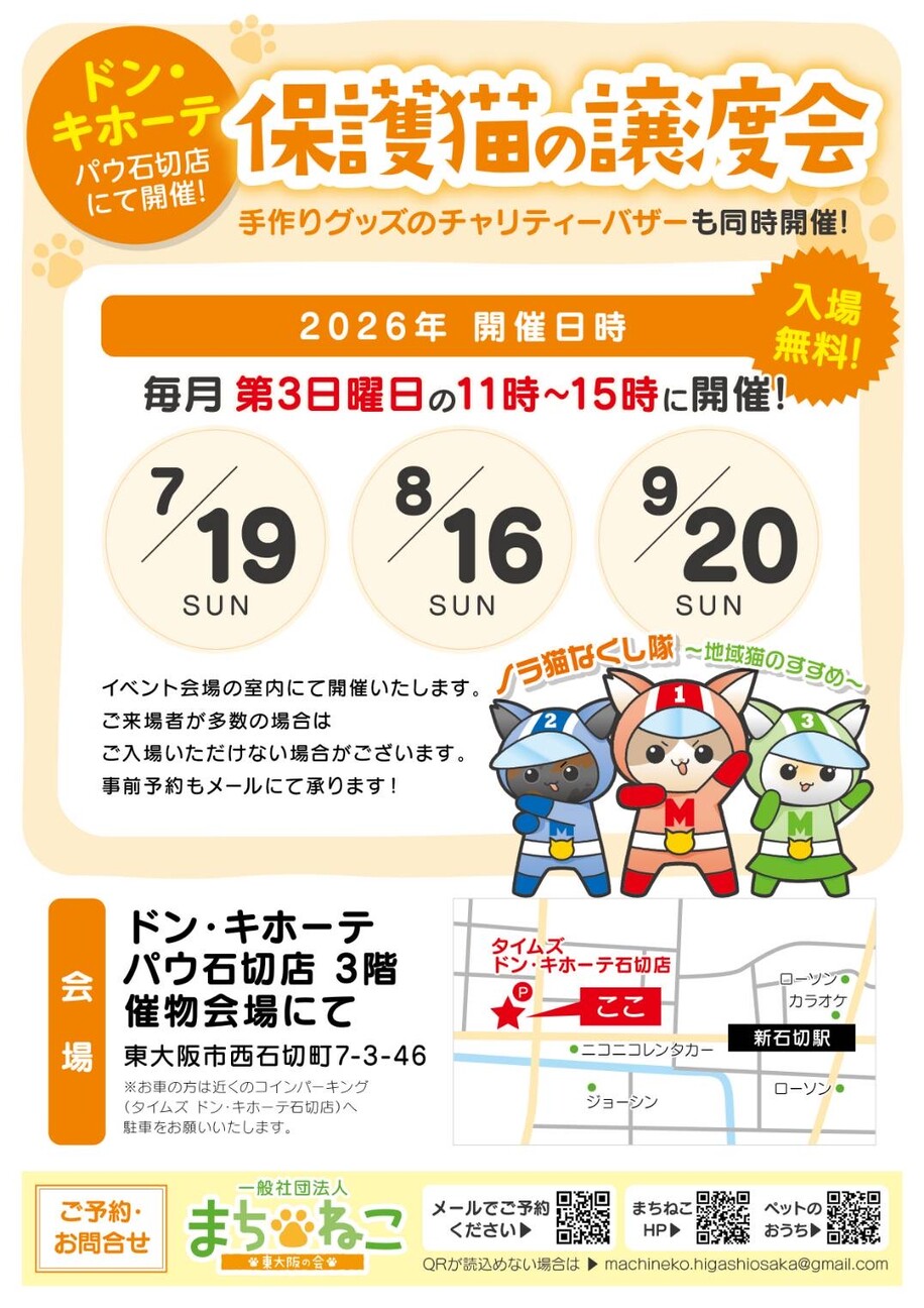 8/16ドン・キホーテ譲渡会参加きじしろ子猫♀ サムネイル5