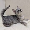 8/9高田馬場★モノちゃん★控えめな甘えん坊 サムネイル3
