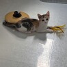 三姉妹のうるるちゃん三毛 サムネイル3