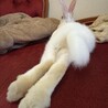 セクシー型